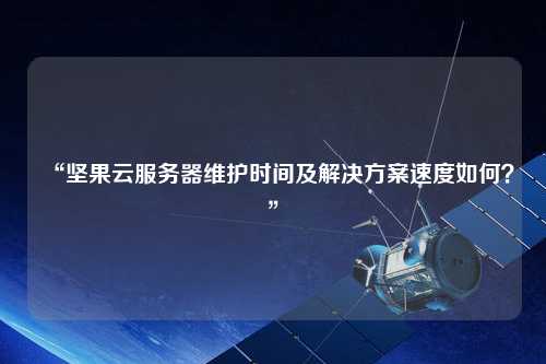 “堅果云服務器維護時間及解決方案速度如何？”