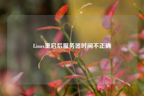 Linux重啟后服務器時間不正確