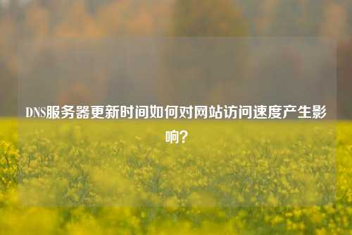 DNS服務器更新時間如何對網站訪問速度產生影響？