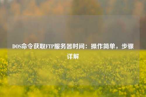 DOS命令獲取FTP服務器時間：操作簡單，步驟詳解