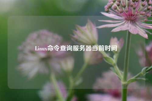 Linux命令查詢服務器當前時間