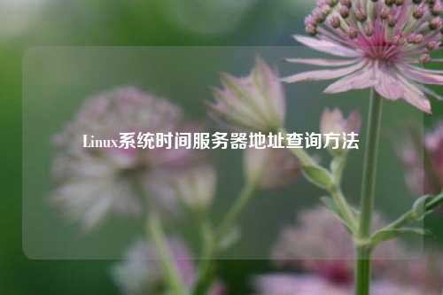 Linux系統時間服務器地址查詢方法