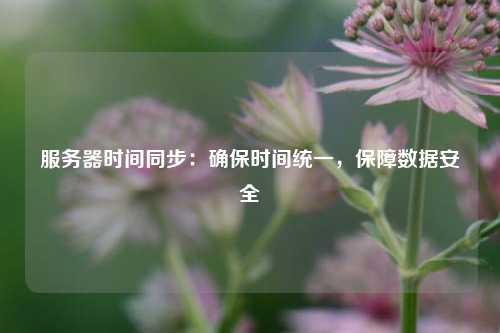 服務器時間同步：確保時間統一，保障數據安全