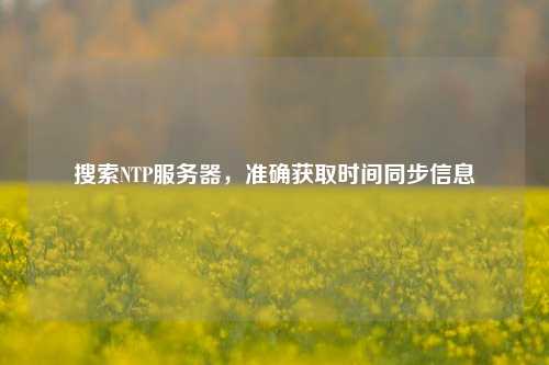 搜索NTP服務器，準確獲取時間同步信息