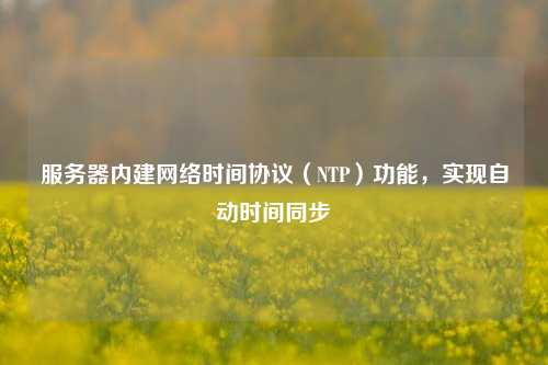 服務器內建網絡時間協議（NTP）功能，實現自動時間同步