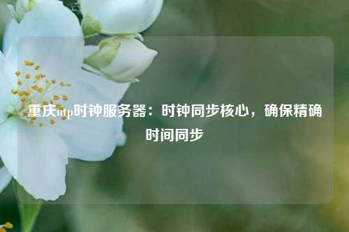 重慶ntp時鐘服務器：時鐘同步核心，確保精確時間同步