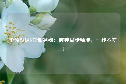 華碩默認NTP服務器：時鐘同步精準，一秒不差！