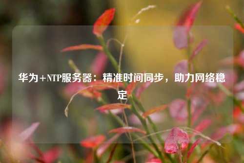 華為+NTP服務器：精準時間同步，助力網絡穩定