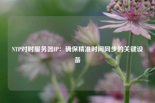 NTP對時服務器IP：確保精準時間同步的關鍵設備