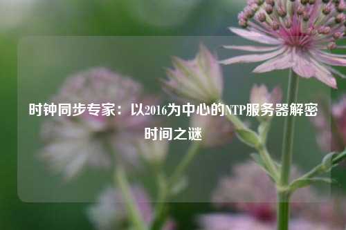 時鐘同步專家：以2016為中心的NTP服務器解密時間之謎