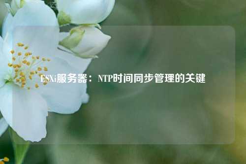 ESXi服務器：NTP時間同步管理的關鍵