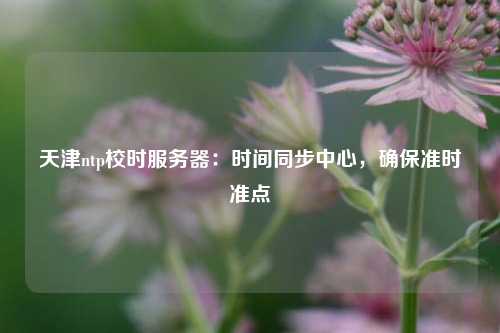 天津ntp校時服務器：時間同步中心，確保準時準點